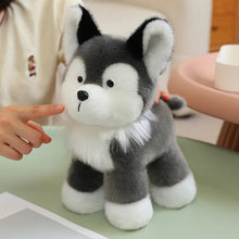 Load image into Gallery viewer, Husky Plush Toy - Adorable Standing Gray and White Husky-4