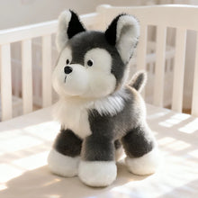 Load image into Gallery viewer, Husky Plush Toy - Adorable Standing Gray and White Husky-Husky-25cm-1