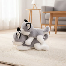 Load image into Gallery viewer, Husky Plush Toy - Sitting Baby Husky Soft Toy-4