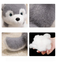 Load image into Gallery viewer, Husky Plush Toy - Sitting Baby Husky Soft Toy-5