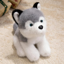 Load image into Gallery viewer, Husky Plush Toy - Sitting Baby Husky Soft Toy-Husky-30cm-1
