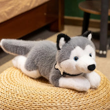 Load image into Gallery viewer, Husky Soft Toy - Belly Flop Sploot Design-2