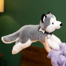 Load image into Gallery viewer, Husky Soft Toy - Belly Flop Sploot Design-3