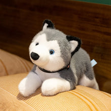 Load image into Gallery viewer, Husky Soft Toy - Belly Flop Sploot Design-4