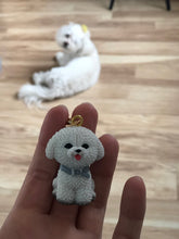 Load image into Gallery viewer, image of a lady holding a bichon frise keychain with a bichon frise dog in the background