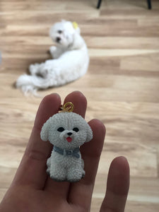 image of a lady holding a bichon frise keychain with a bichon frise dog in the background
