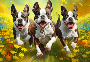 Joyful Frolic Boston Terriers Wall Art Poster-Art-Boston Terrier, Dog Art, Home Decor, Poster-Light Canvas-Tiny - 8x10"-1