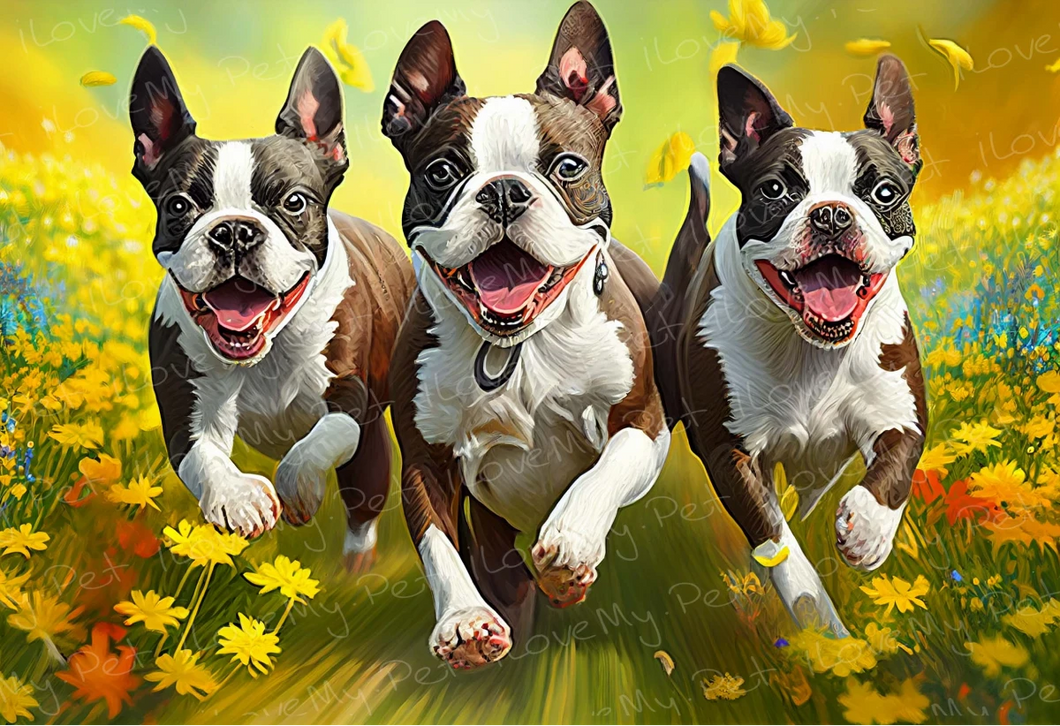 Joyful Frolic Boston Terriers Wall Art Poster-Art-Boston Terrier, Dog Art, Home Decor, Poster-Light Canvas-Tiny - 8x10