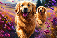 Load image into Gallery viewer, Two golden dogs running through a field of purple flowers with a scenic background.