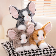 Load image into Gallery viewer, Large Devon Rex Plush Toys - 6 Coat Colors - White, Black, Tuxedo, Tabby Orange, Gray and Brown-Stuffed Animals-Black and White Cat,Cat Memorial Gifts,Cats,Devon Rex,Orange and White Cat,Stuffed Animal,Tabby Cat,White Cat-16