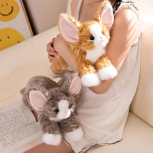 Load image into Gallery viewer, Large Devon Rex Plush Toys - 6 Coat Colors - White, Black, Tuxedo, Tabby Orange, Gray and Brown-5
