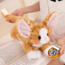 Load image into Gallery viewer, Large Devon Rex Plush Toys - 6 Coat Colors - White, Black, Tuxedo, Tabby Orange, Gray and Brown-Stuffed Animals-Black and White Cat,Cat Memorial Gifts,Cats,Devon Rex,Orange and White Cat,Stuffed Animal,Tabby Cat,White Cat-9