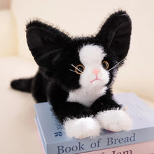 Load image into Gallery viewer, Large Devon Rex Plush Toys - 6 Coat Colors - White, Black, Tuxedo, Tabby Orange, Gray and Brown-Black White Cat-53cm-19