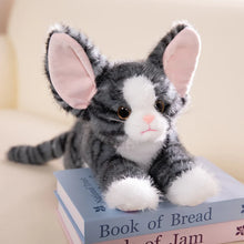 Load image into Gallery viewer, Large Devon Rex Plush Toys - 6 Coat Colors - White, Black, Tuxedo, Tabby Orange, Gray and Brown-Gray Striped Cat-53cm-15