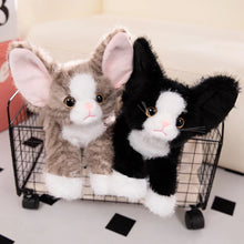 Load image into Gallery viewer, Large Devon Rex Plush Toys - 6 Coat Colors - White, Black, Tuxedo, Tabby Orange, Gray and Brown-Stuffed Animals-Black and White Cat,Cat Memorial Gifts,Cats,Devon Rex,Orange and White Cat,Stuffed Animal,Tabby Cat,White Cat-15