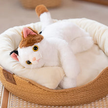 Load image into Gallery viewer, Large Gray and White Cat Stuffed Animal - Sweet Wide-Eyed Cutie - Blue Eyes-3