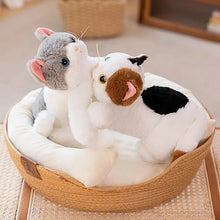 Load image into Gallery viewer, Large Gray and White Cat Stuffed Animal - Sweet Wide-Eyed Cutie - Blue Eyes-6