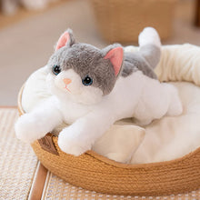 Load image into Gallery viewer, Large Gray and White Cat Stuffed Animal - Sweet Wide-Eyed Cutie - Blue Eyes-Stuffed Animals-Cat Memorial Gifts,Cats,Grey and White Cat-14