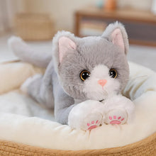 Load image into Gallery viewer, Large Gray and White Cat Stuffed Toy - Pink Paw Pads Kitty-Grey Cat-53CM-1