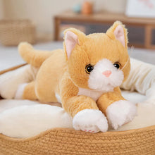 Load image into Gallery viewer, Large Orange and White Cat Stuffed Toy - Pink Paw Pads Kitty-Brown Cat-53CM-1