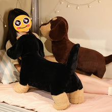 Load image into Gallery viewer, Large Standing Dachshund Stuffed Animal Plush Toys-Stuffed Animals-Dachshund,Dog Memorial Gifts,Stuffed Animal-2