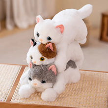 Load image into Gallery viewer, Large White Cat Stuffed Animal - Sweet Wide-Eyed Cutie - Blue Eyes-13