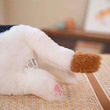 Load image into Gallery viewer, Large White Cat Stuffed Animal - Sweet Wide-Eyed Cutie - Blue Eyes-17