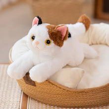Load image into Gallery viewer, Large White Cat Stuffed Animal - Sweet Wide-Eyed Cutie - Blue Eyes-7