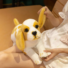 Load image into Gallery viewer, Lemon and White Basset Hound Plush Toy - Belly Flop Sploot Design-3