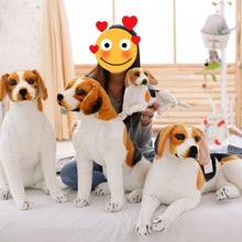 Load image into Gallery viewer, Lifelike Beagle Stuffed Animal Plush Toy-Soft Toy-Beagle, Dogs, Home Decor, Stuffed Animal-11
