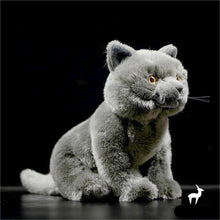 Load image into Gallery viewer, Lifelike Blue British Shorthair Cat Soft Plush Toy-3