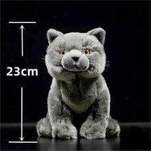 Load image into Gallery viewer, Lifelike Blue British Shorthair Cat Soft Plush Toy-with opp bag-CHINA-8