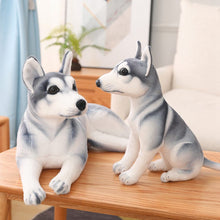 Load image into Gallery viewer, Image of two adorable Husky stuffed animal toys, one standing and one lying