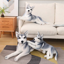 Load image into Gallery viewer, Image of three super cute husky stuffed animal toys in lying position