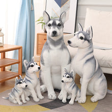 Load image into Gallery viewer, Image of five super cute husky stuffed animal toys in standing position