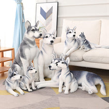 Load image into Gallery viewer, Image of eight most adorable Husky stuffed animal toys being displayed in a living room