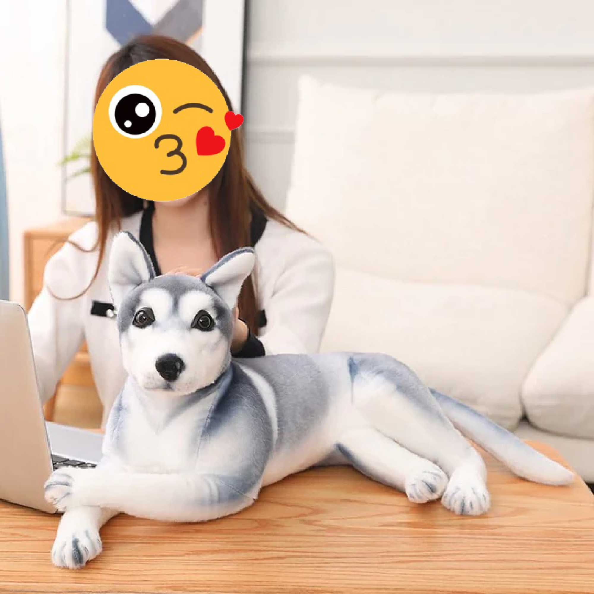 Honeyway plush toys small Husky dog toys lifelike and soft touch suit for  children and people who like dogs very much
