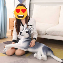 Load image into Gallery viewer, Lifelike Husky Stuffed Animal Huggable Plush Toy (Small to Giant Size)-Soft Toy-Dogs, Home Decor, Huggable Stuffed Animals, Siberian Husky, Soft Toy, Stuffed Animal-9