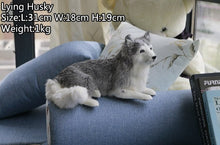 Load image into Gallery viewer, Lifelike Large Silver / Gray Husky Stuffed Animals with Real Fur-Stuffed Animals-Home Decor, Siberian Husky, Stuffed Animal-8