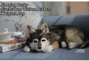 Lifelike Large Sleeping Agouti Husky Stuffed Animals with Real Fur-Stuffed Animals-Home Decor, Siberian Husky, Stuffed Animal-11