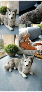 Lifelike Large Sleeping Dog Stuffed Animals with Real Fur-Stuffed Animals-Home Decor, Stuffed Animal-12