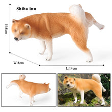 Load image into Gallery viewer, Lifelike Orange Shiba Inu Figurine – Standing Pose with Raised Leg-dog model 13-1