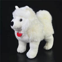 Load image into Gallery viewer, Realistic Lifelike Samoyed Dog Stuffed Animal Plush Toys-Stuffed Animals-Dog Memorial Gifts,Samoyed,Stuffed Animal-6