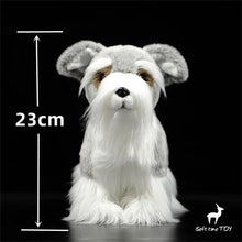 Load image into Gallery viewer, Lifelike Schnauzer Stuffed Animal Plush Toy-with opp bag-CHINA-6