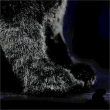 Load image into Gallery viewer, Lifelike Sitting Black Cat Soft Plush Toy-12