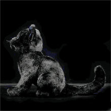 Load image into Gallery viewer, Lifelike Sitting Black Cat Soft Plush Toy-8