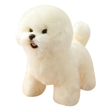 Load image into Gallery viewer, image of an adorable white bichon frise stuffed animal plush toy in white background