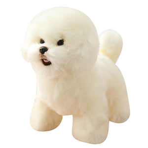 image of an adorable white bichon frise stuffed animal plush toy in white background