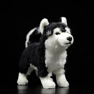 Lifelike Standing Husky Stuffed Animal Plush Toys - Silver, Black & Brown Colors-Soft Toy-Dogs, Home Decor, Siberian Husky, Soft Toy, Stuffed Animal-10