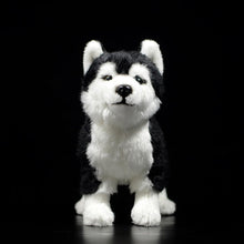 Load image into Gallery viewer, Lifelike Standing Husky Stuffed Animal Plush Toys - Silver, Black &amp; Brown Colors-Soft Toy-Dogs, Home Decor, Siberian Husky, Soft Toy, Stuffed Animal-11